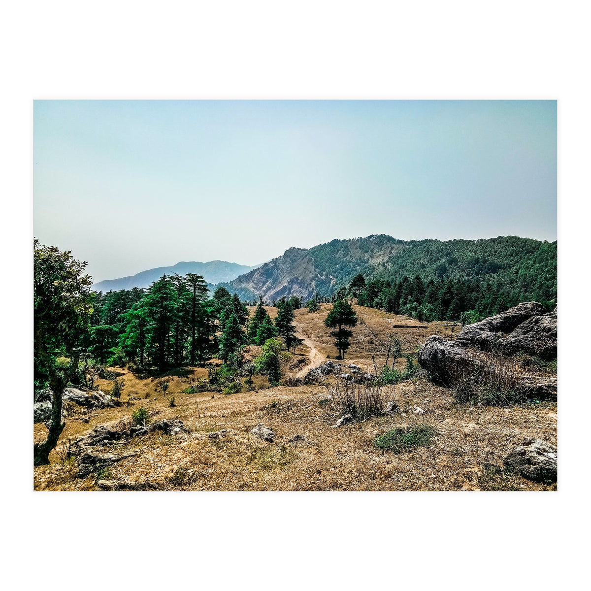 Let's Take A Walk (Print Only)