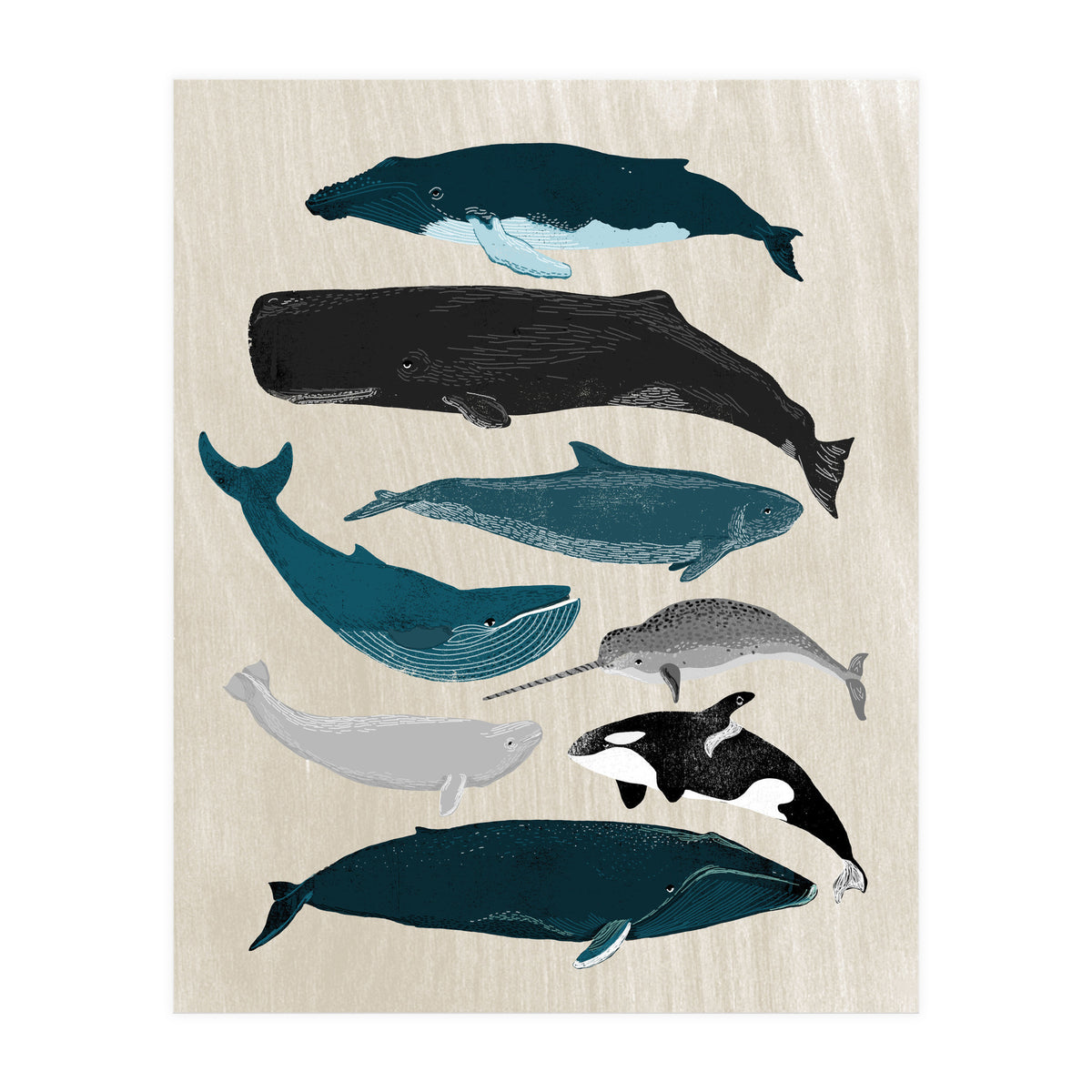 Whales (Print Only)