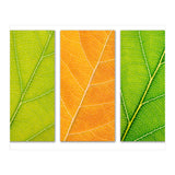 Autumn Leaves (Print Only) thumbnail