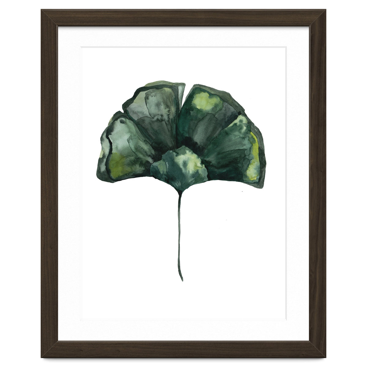 Botanical Illustration Ginko
