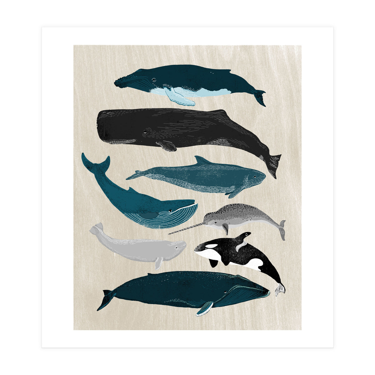 Whales (Print Only)