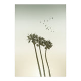 Vintage palm trees at sunset (Print Only) thumbnail