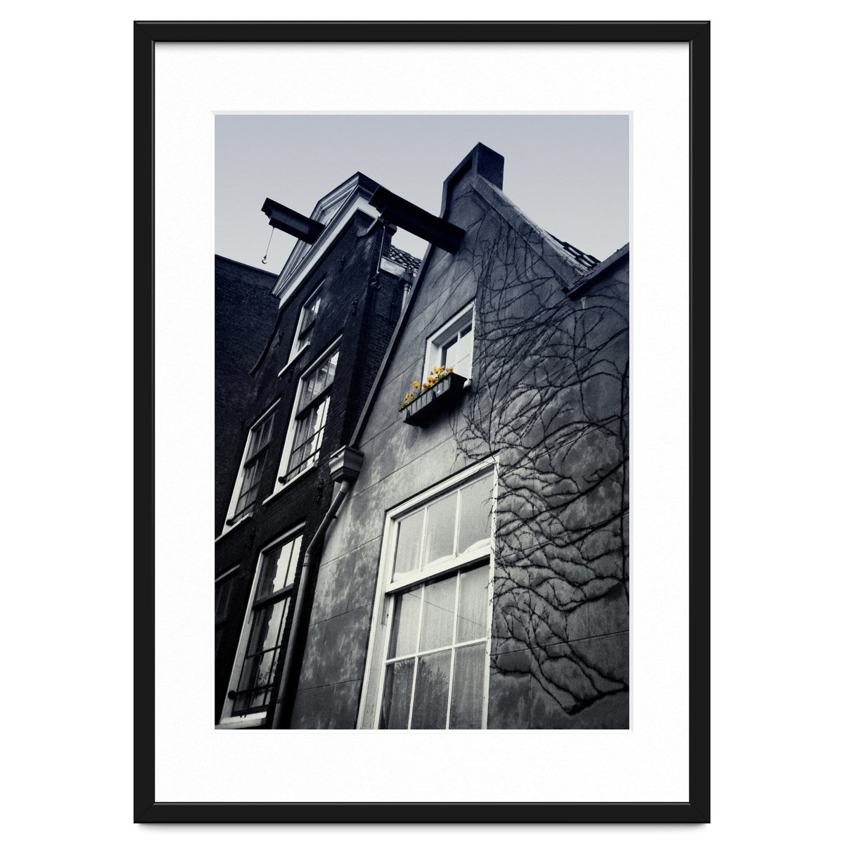 Amsterdam. House With Yellow Flowers.