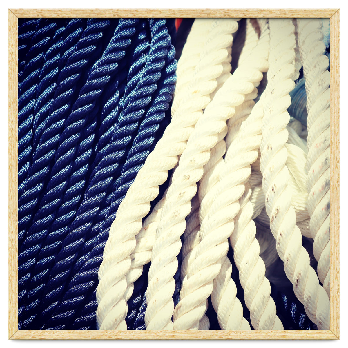 Blue and white fishing rope