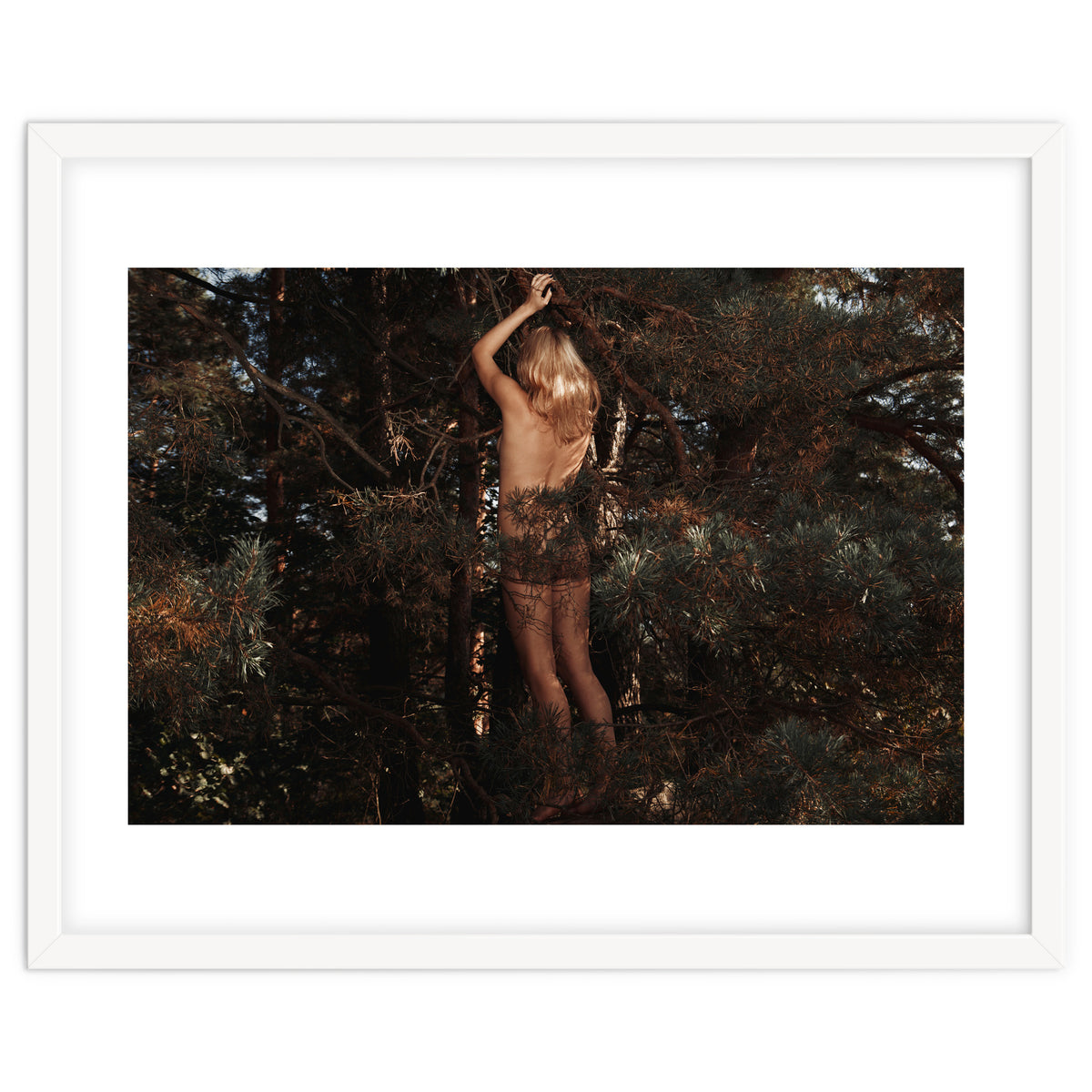 The kids Are all Wild