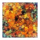 Flash Point (Print Only) thumbnail