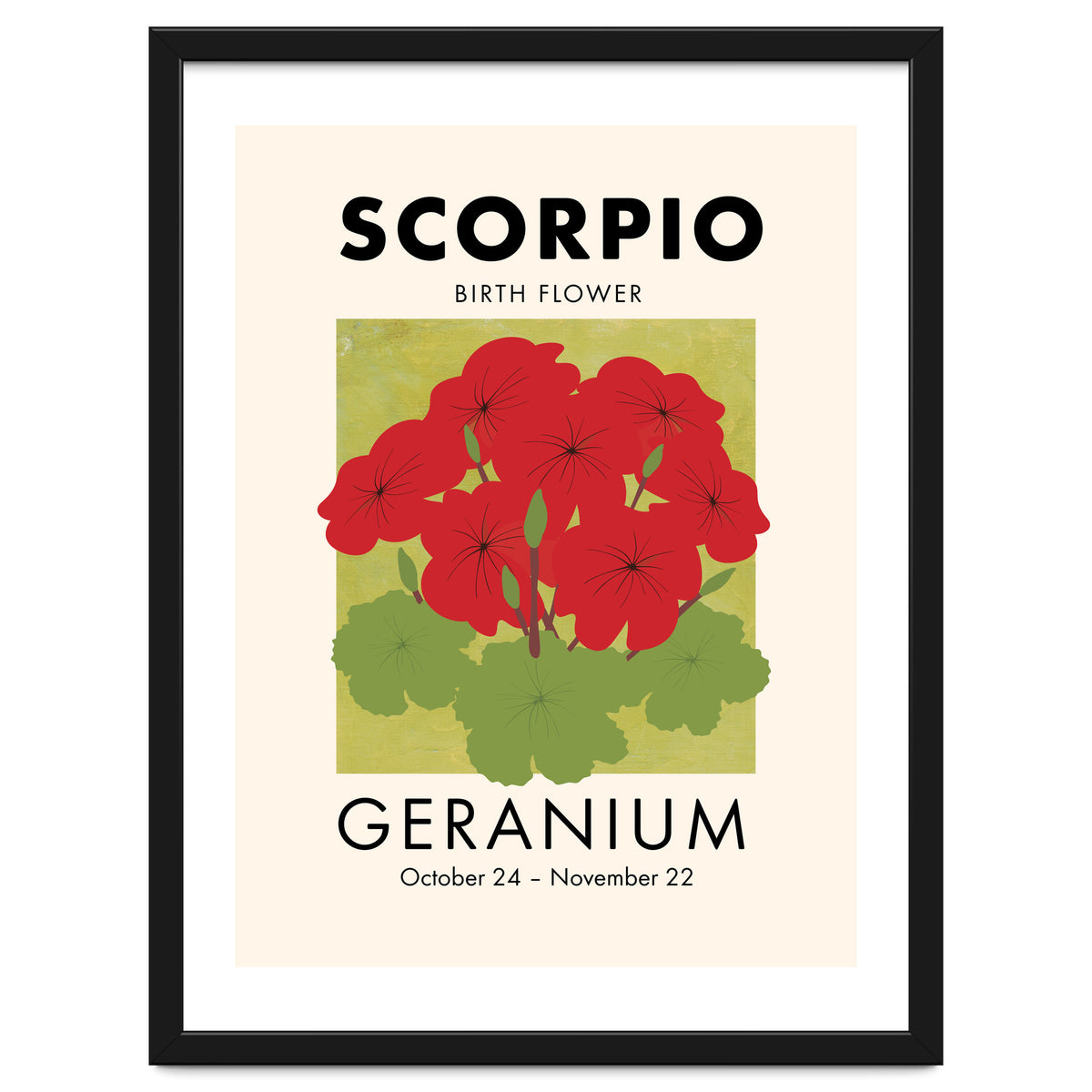 Scorpio Birth Flower Geranium