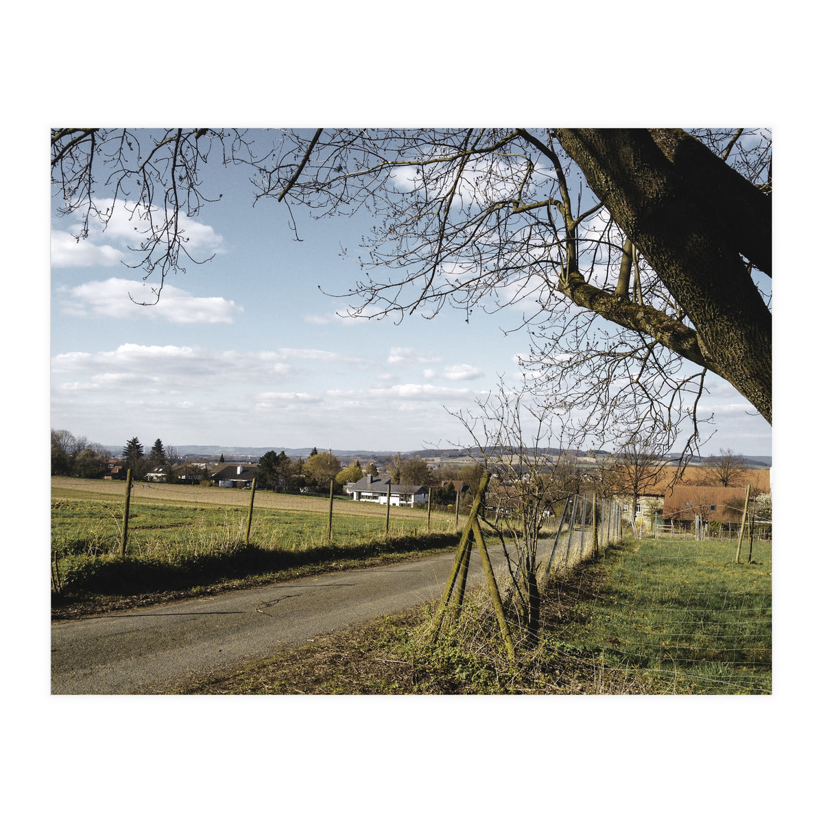 Bucolism 1 (Print Only)