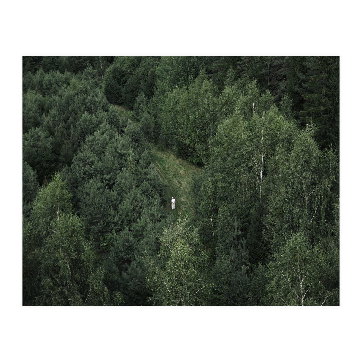 What's the Date Today? (Print Only)