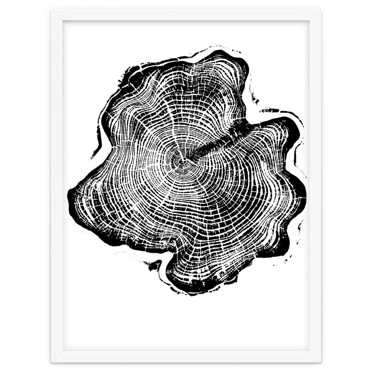 Alaskan Cypress, Tree Ring Art Print, Woodblock