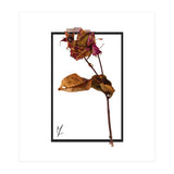Flower 1 (Print Only) thumbnail