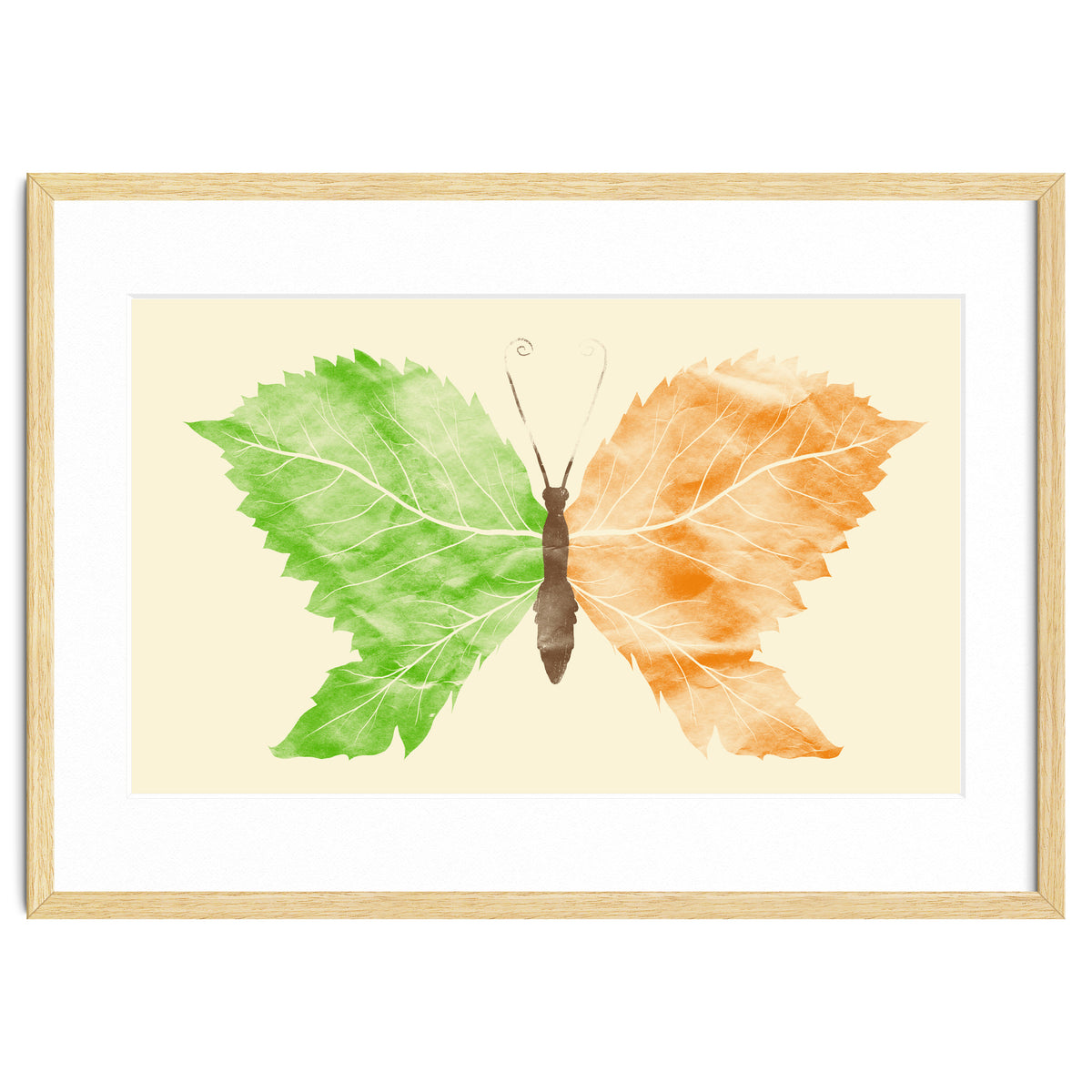 Seasons Change Time Flies