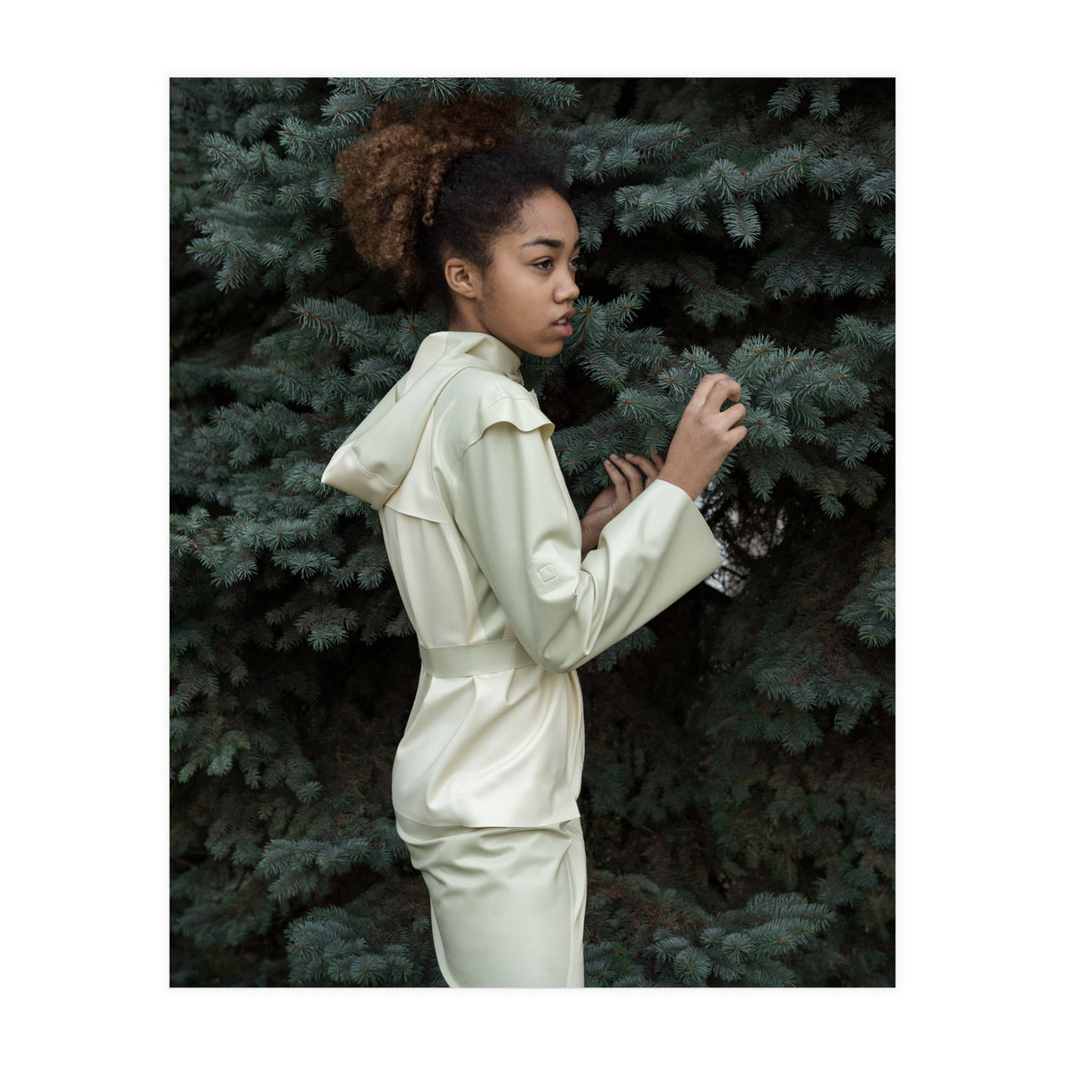 Smooth Confess (Print Only)