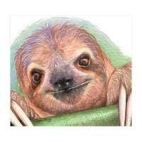 Smiling Sloth (Print Only)