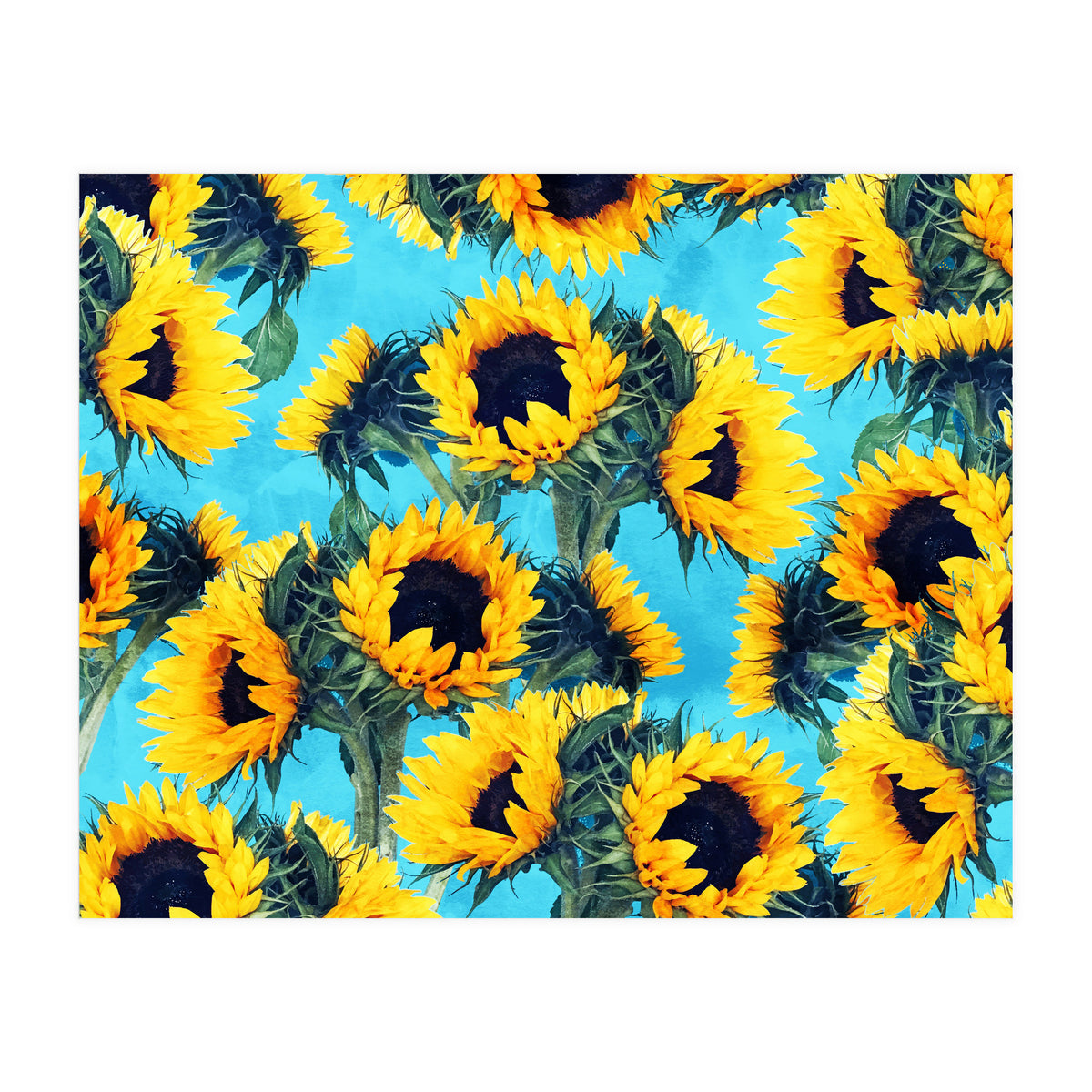 Sunflowers & Sky (Print Only)
