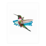 Modern Hummingbird II (Print Only) thumbnail