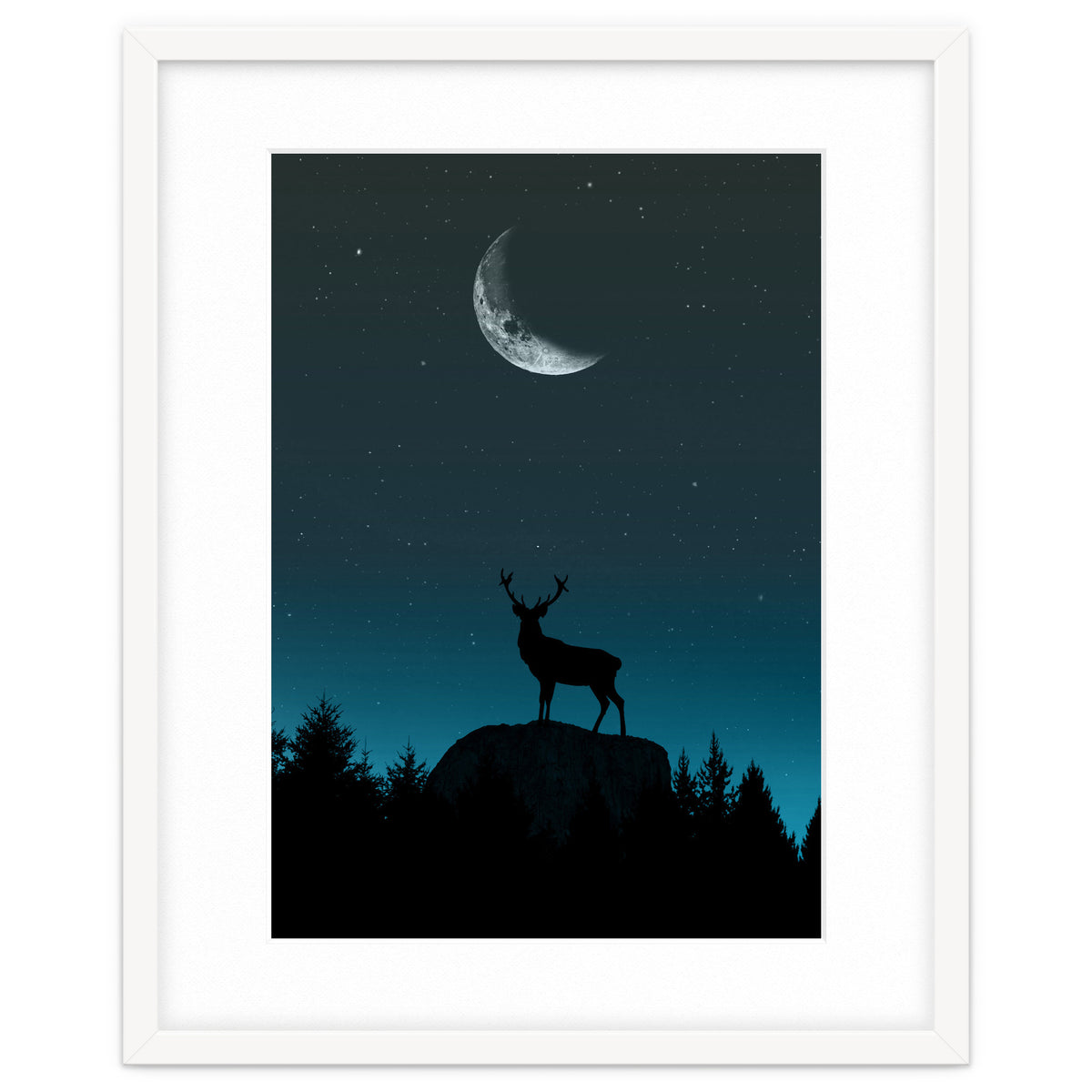 Wild Nature - Nocturne