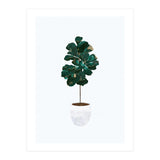 FIddle Leaf Fig gold and green (Print Only) thumbnail