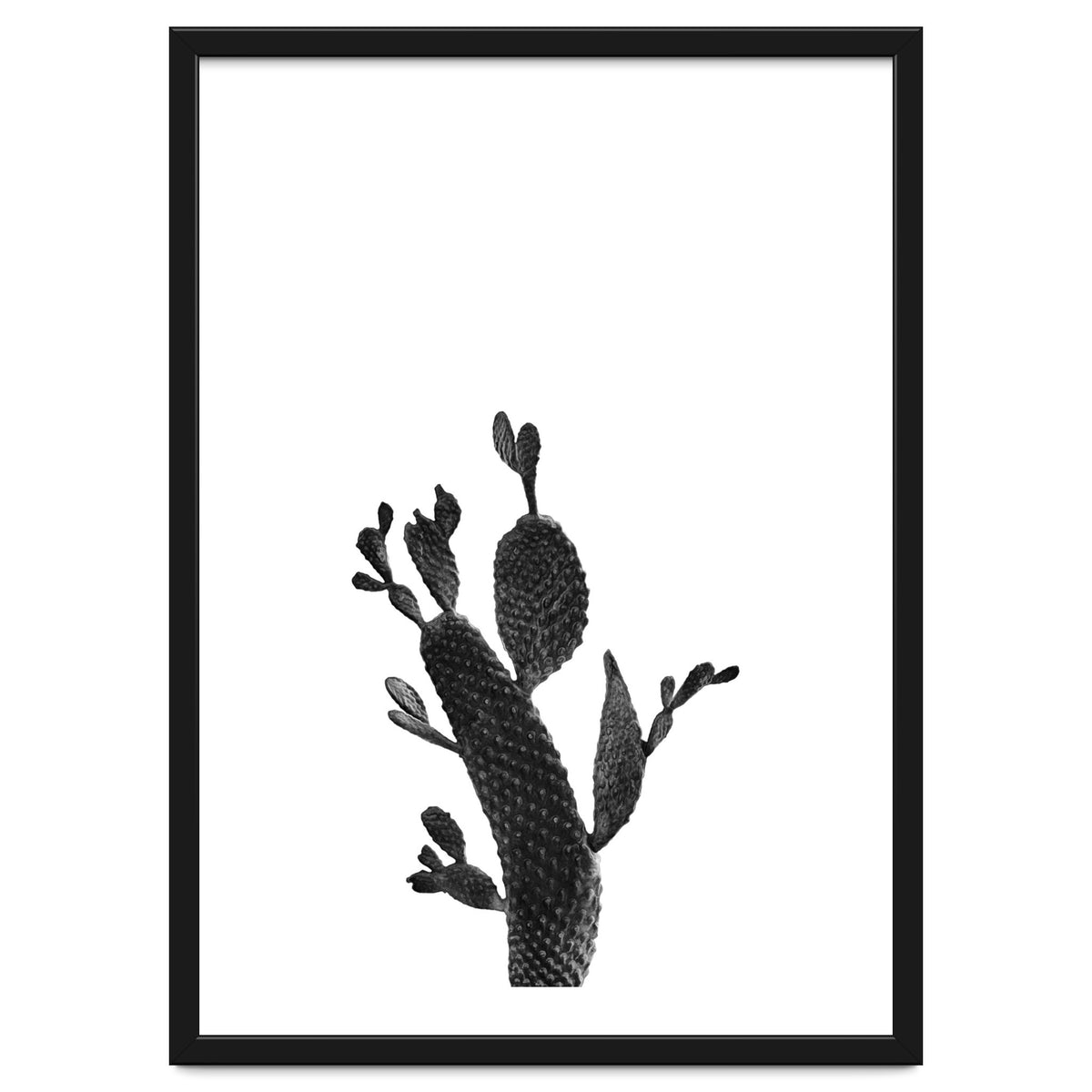 Cactus Black And White 02
