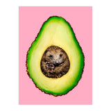 Hedgehocado (Print Only) thumbnail