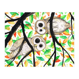 Two curious owls (Print Only) thumbnail