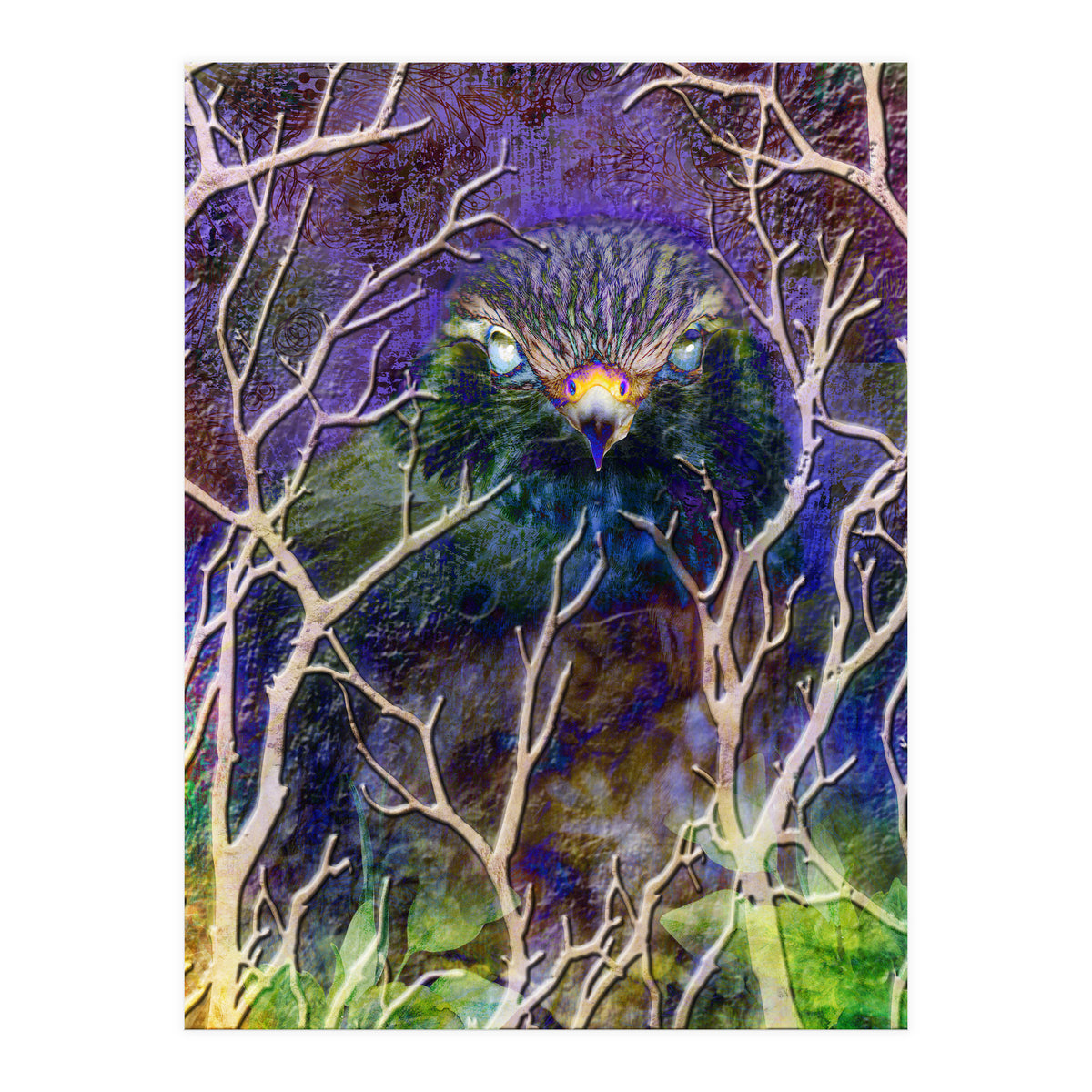 Dead Of Night (Print Only)