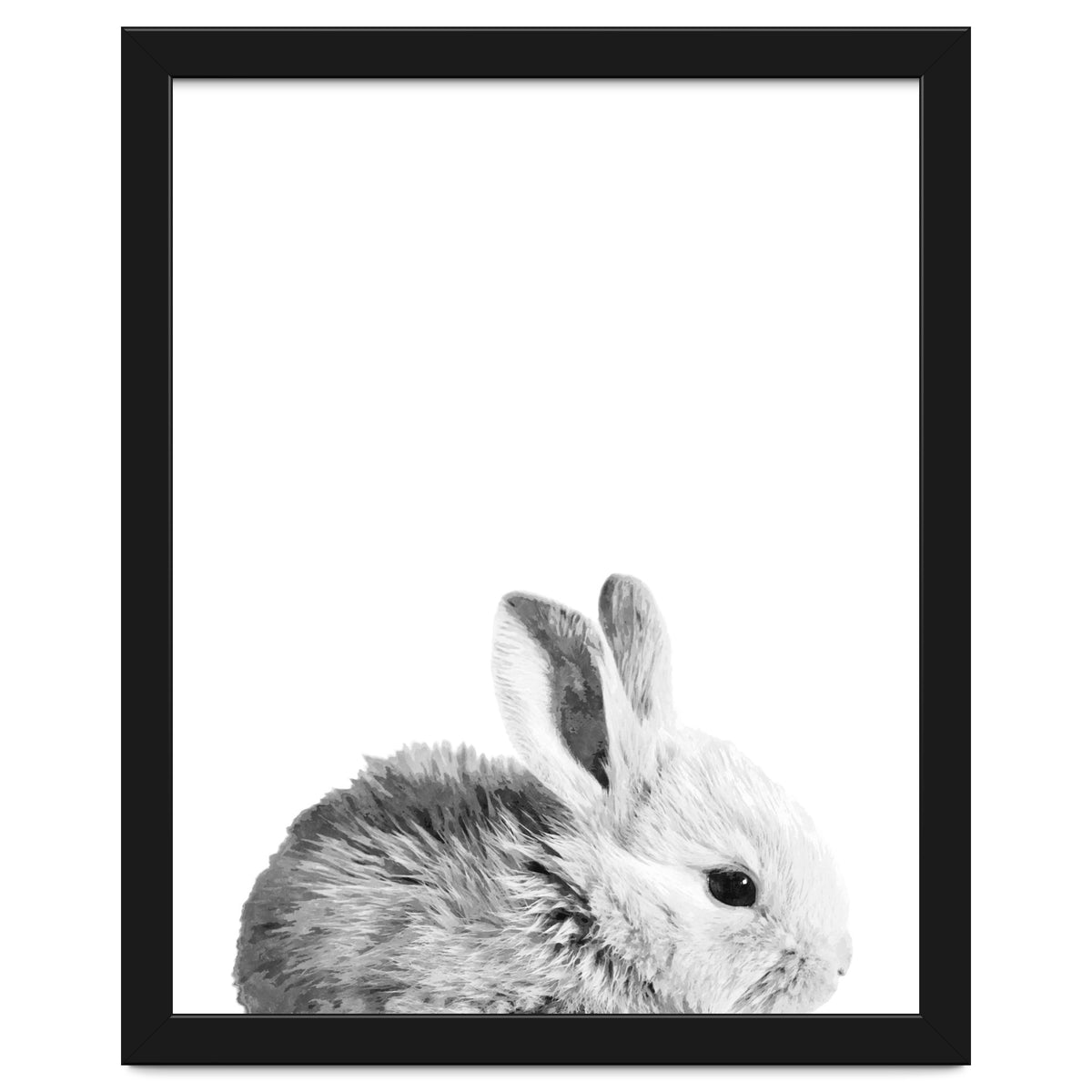 Black and White Bunny Portrait