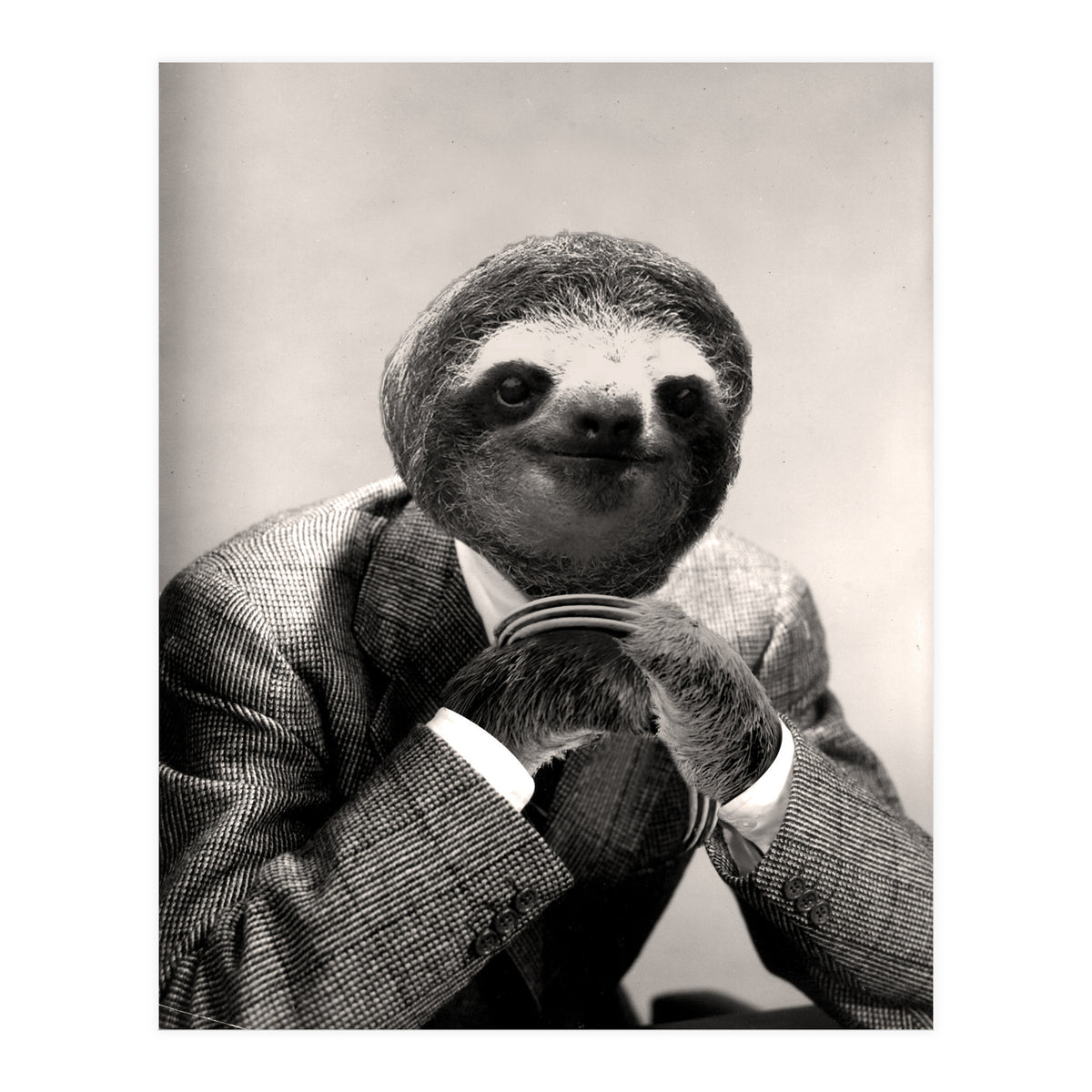Gentleman Sloth 3 (Print Only)
