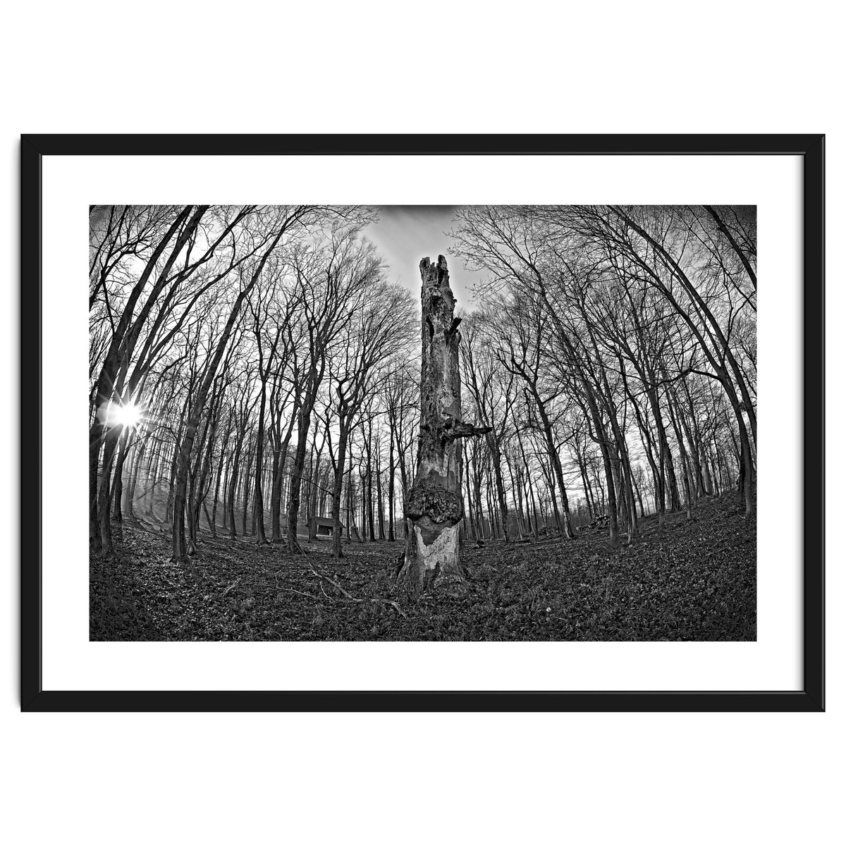 Circle of Growth and decay