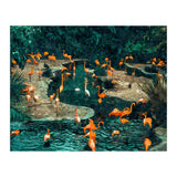 Flamingo Creek (Print Only) thumbnail