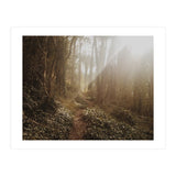 Mt. Davidson II (Print Only) thumbnail