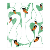 White Calm Was Born Into A Swan (Print Only) thumbnail