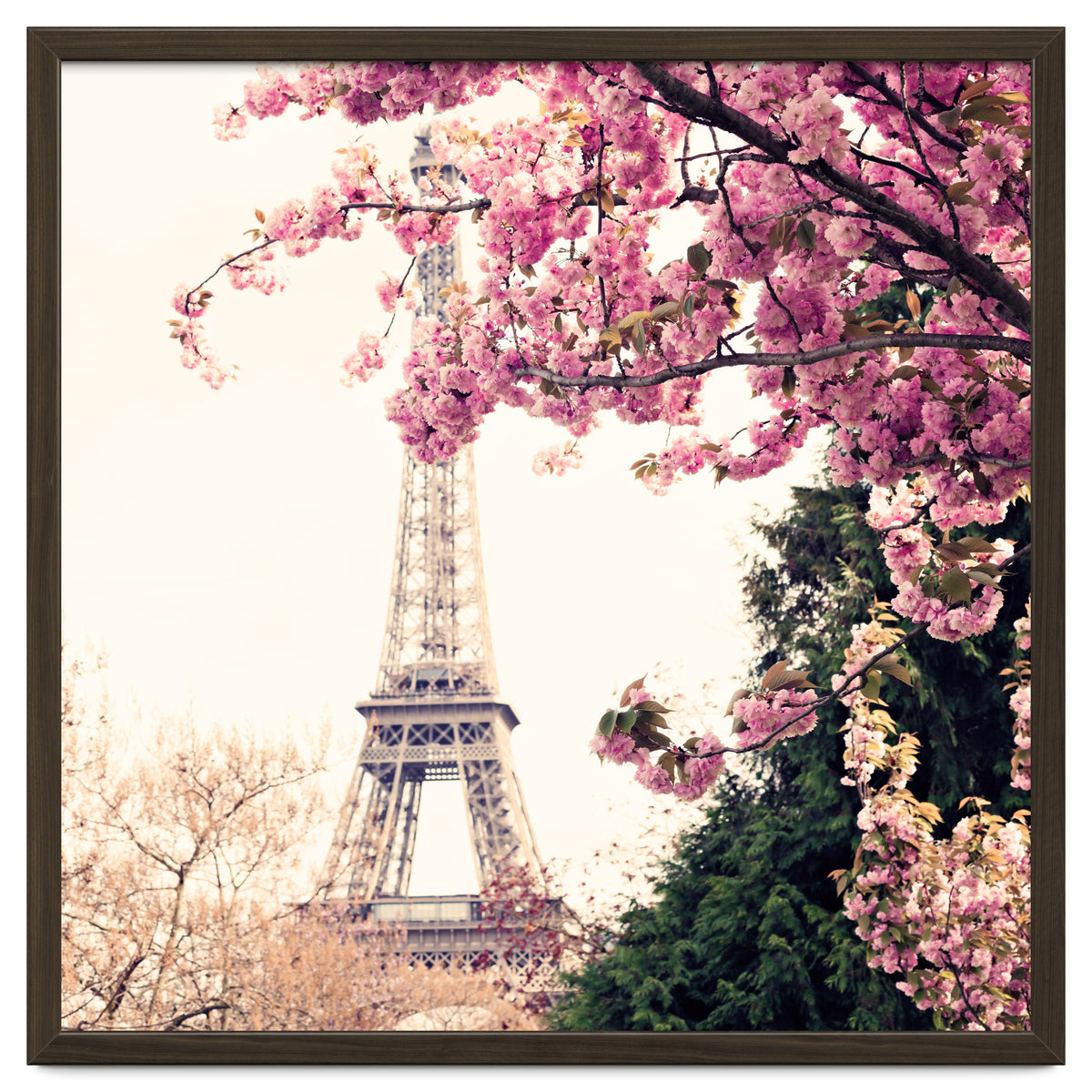Paris in the Spring