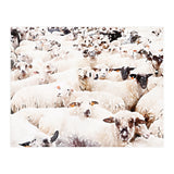 The Herd (Print Only) thumbnail