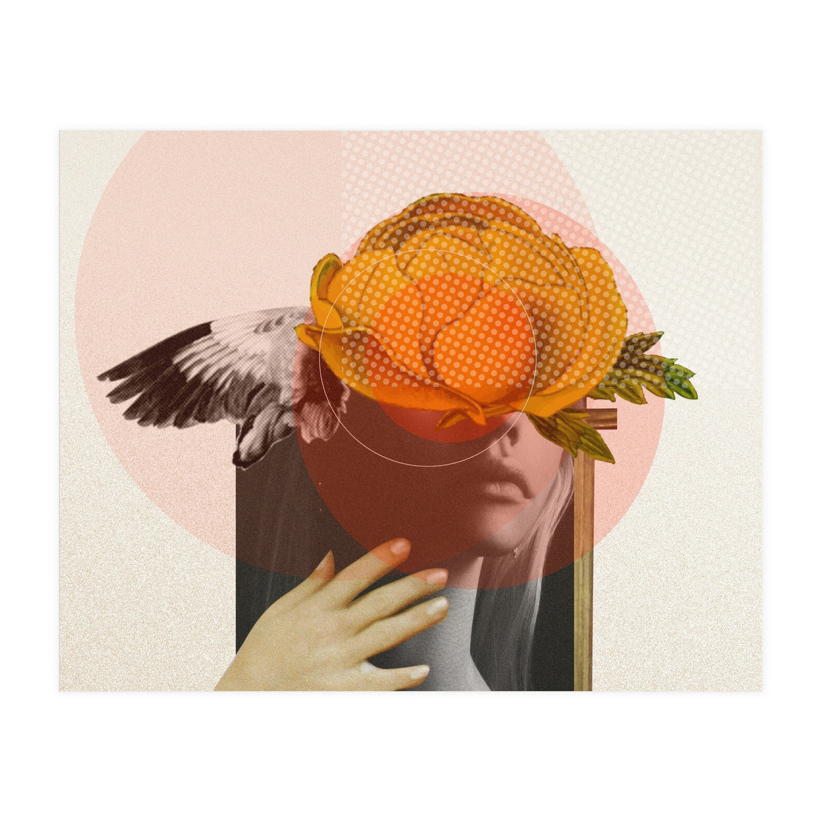 Dreamland Division · C (Print Only)