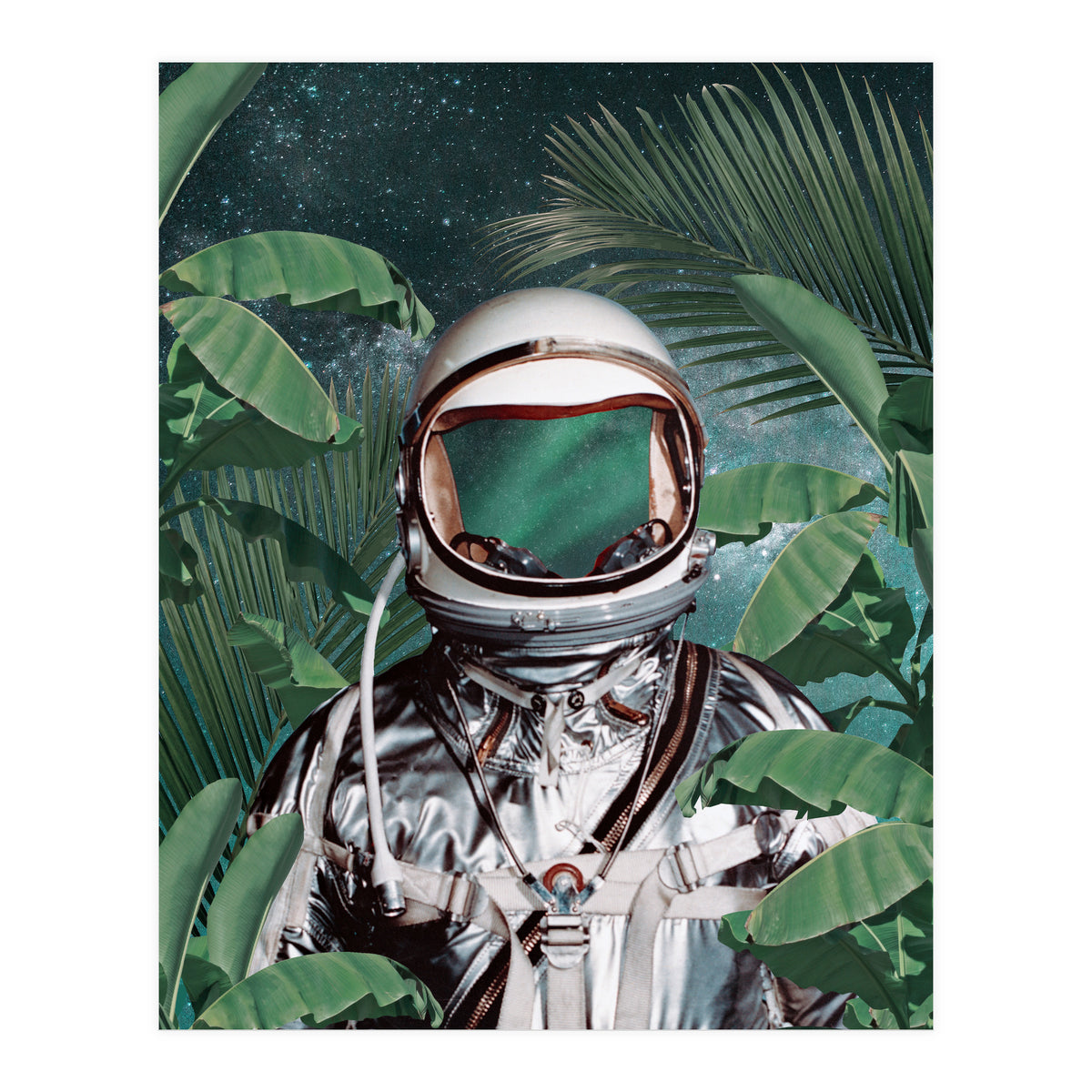 Paradise Found (Print Only)