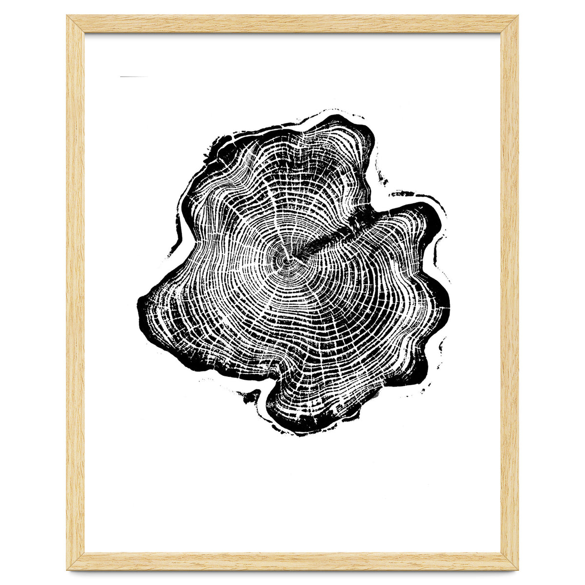 Alaskan Cypress, Tree Ring Art Print, Woodblock