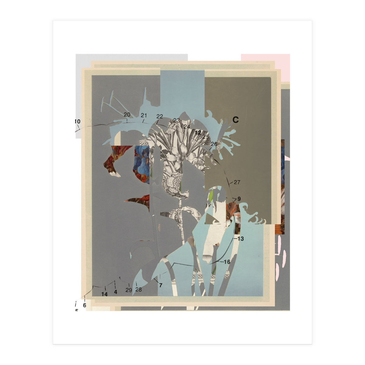 The First Plant · D (Print Only)