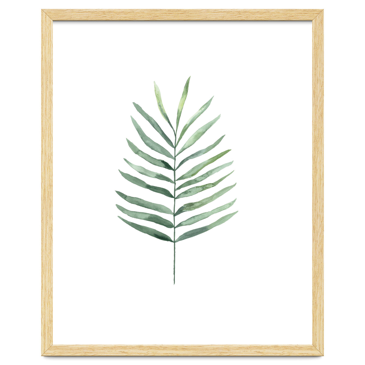 Botanical Illustration Fern