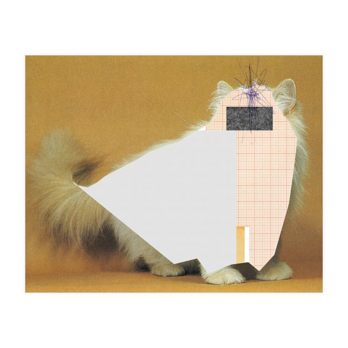 Content Of The Cat 1 (Print Only)