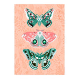 Lepidoptery No. 3 (Print Only) thumbnail