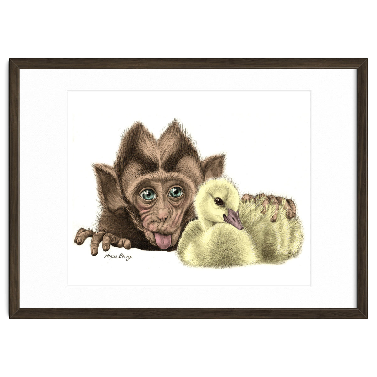 Monkey and Duckling