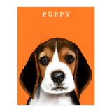 Puppy (Print Only) thumbnail