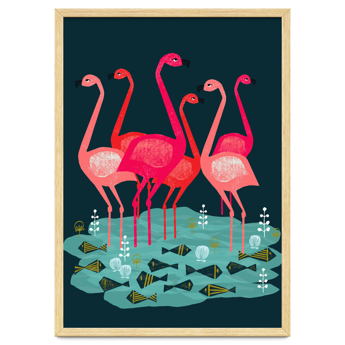 Flamingo