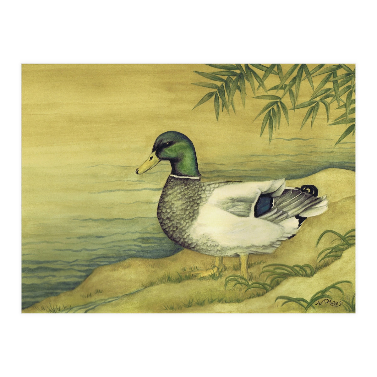 Mallard (Print Only)