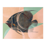 Fish Between Circles 2 (Print Only) thumbnail