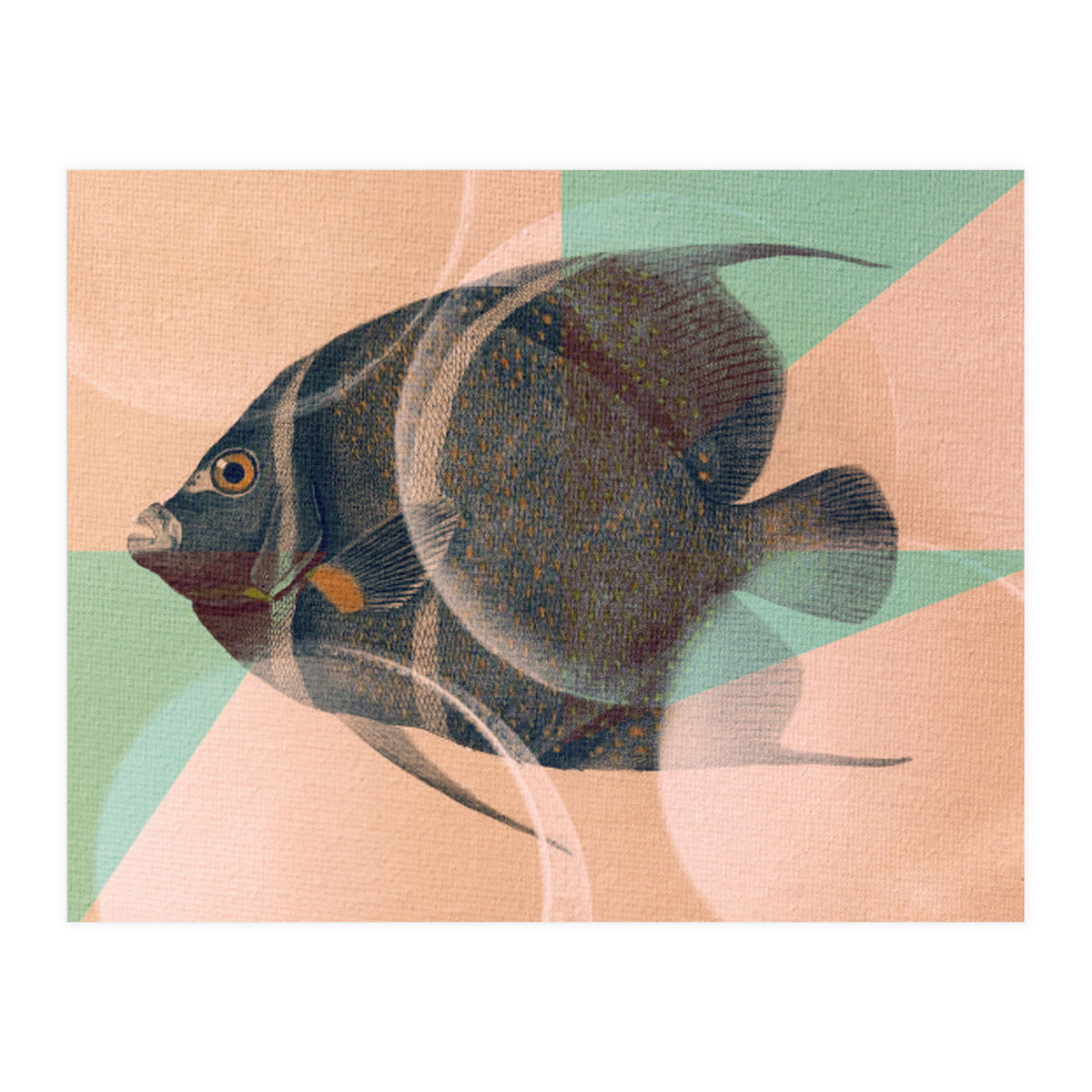 Fish Between Circles 2 (Print Only)
