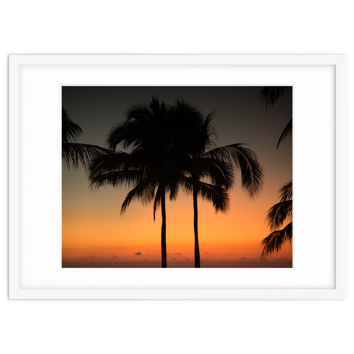 Mexico, November nights