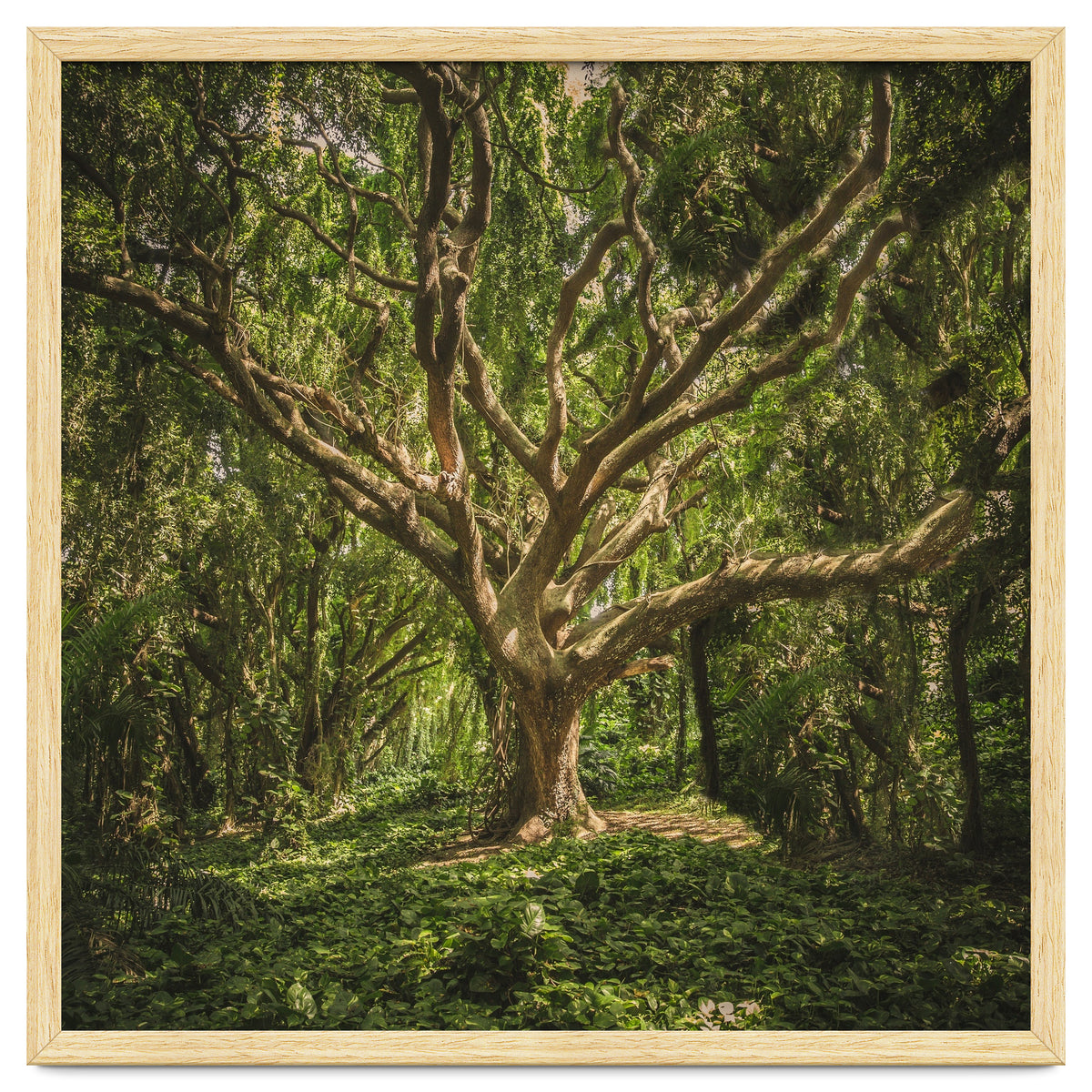 Spirits inside the wood