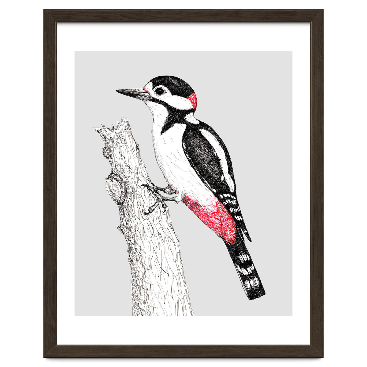 Great spotted woodpecker